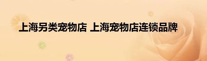 上海另类宠物店 上海宠物店连锁品牌
