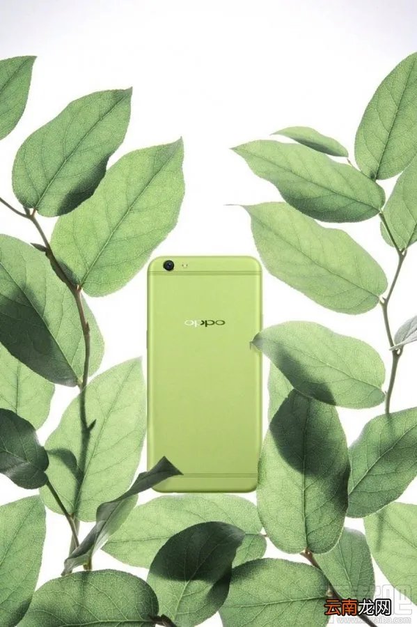 oppo r9s清新绿李易峰特定版怎么预约?oppo r9s清新绿多少钱