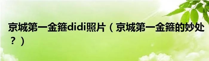京城第一金箍didi照片（京城第一金箍的妙处？）