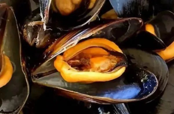为什么秦皇岛海虹会出现中毒现象？