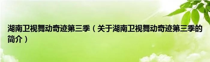 湖南卫视舞动奇迹第三季（关于湖南卫视舞动奇迹第三季的简介）