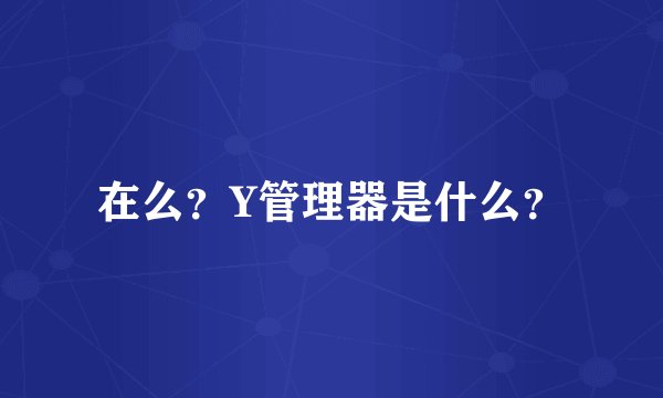 在么？Y管理器是什么？