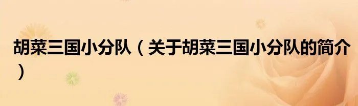 胡菜三国小分队（关于胡菜三国小分队的简介）