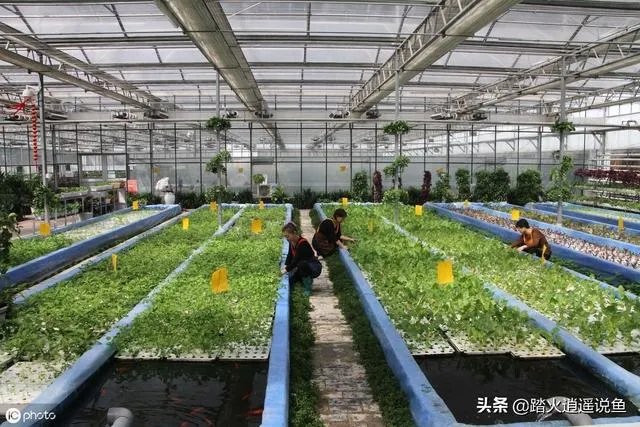 养殖业什么前景最好?
