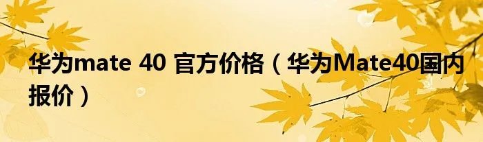 华为mate 40 官方价格（华为Mate40国内报价）