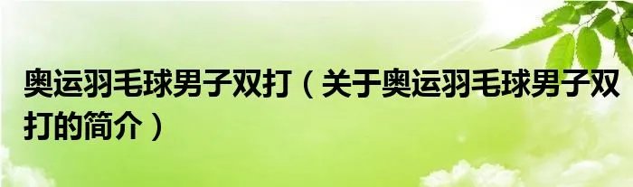 奥运羽毛球男子双打（关于奥运羽毛球男子双打的简介）