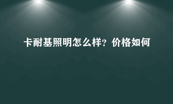卡耐基照明怎么样？价格如何