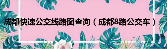 成都快速公交线路图查询（成都8路公交车）