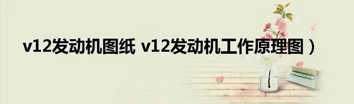v12发动机图纸 v12发动机工作原理图）