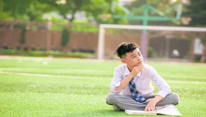 神兽归笼后面一句是什么