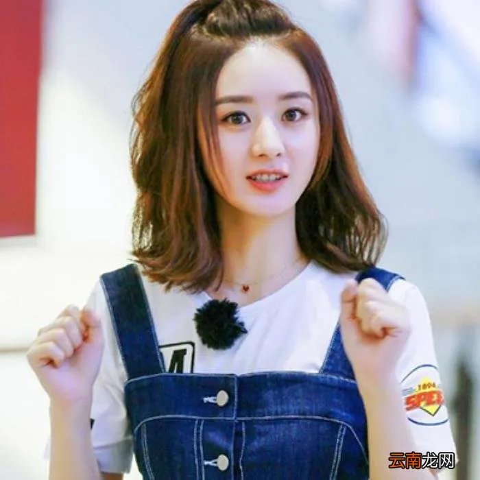 赵丽颖的职业经历,赵丽颖的人生