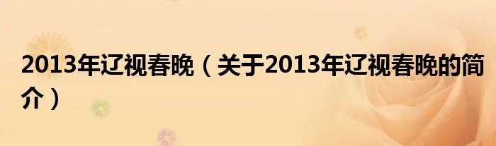 2013年辽视春晚（关于2013年辽视春晚的简介）