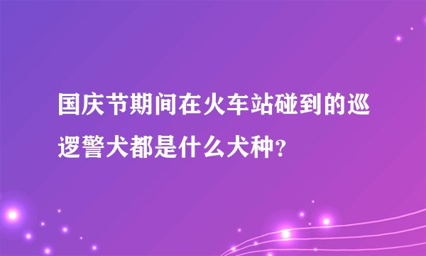 国庆节期间在火车站碰到的巡逻警犬都是什么犬种？