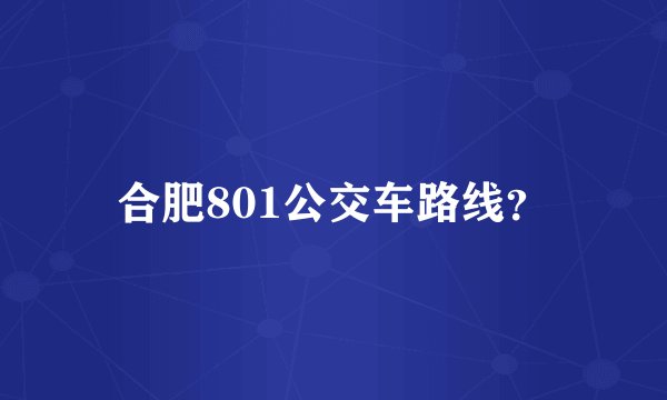 合肥801公交车路线？