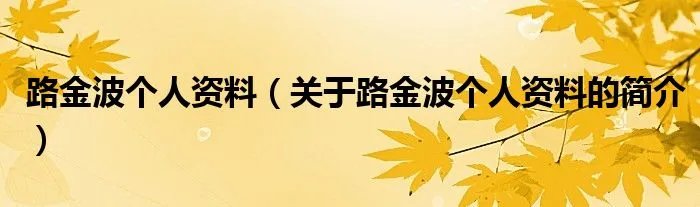 路金波个人资料（关于路金波个人资料的简介）