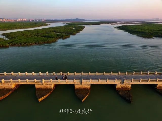 训练老鹰抓无人机有前途吗?