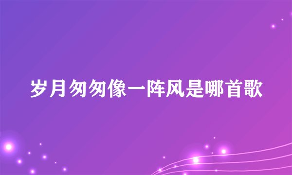 岁月匆匆像一阵风是哪首歌