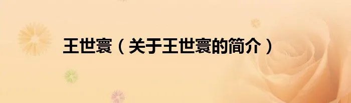 王世寰(关于王世寰的简介)