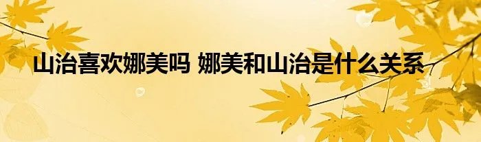 山治喜欢娜美吗 娜美和山治是什么关系
