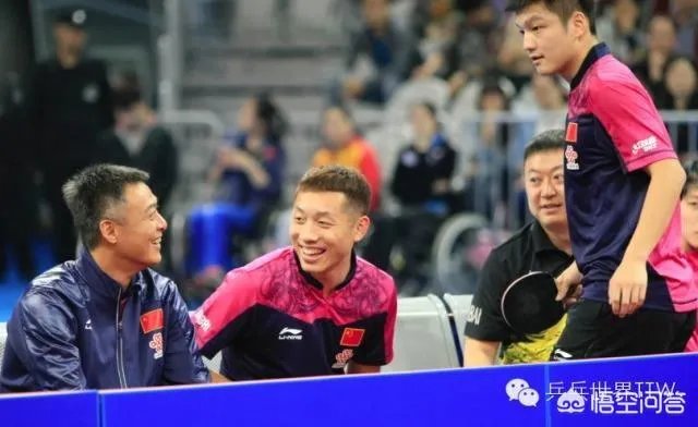 樊振东输张本智和