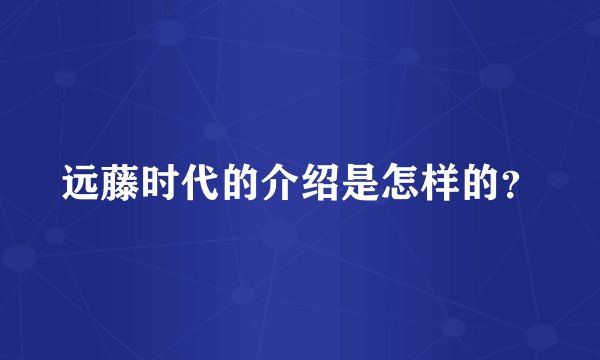 远藤时代的介绍是怎样的？