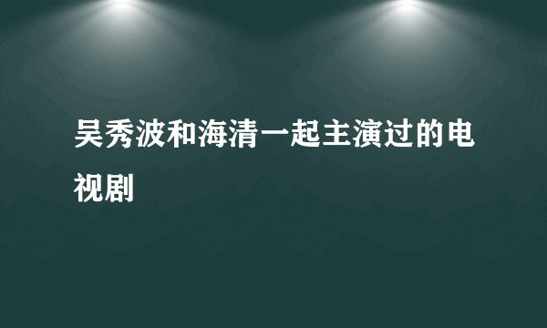 吴秀波和海清一起主演过的电视剧