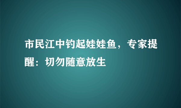 市民江中钓起娃娃鱼，专家提醒：切勿随意放生