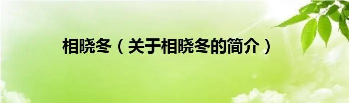 相晓冬（关于相晓冬的简介）