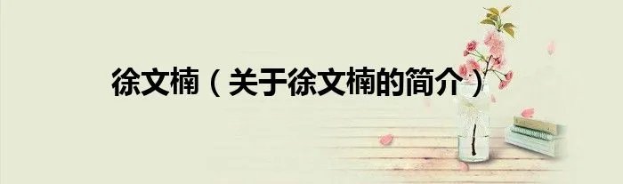 徐文楠（关于徐文楠的简介）