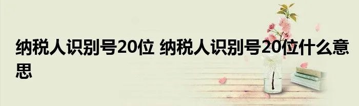 纳税人识别号20位 纳税人识别号20位什么意思