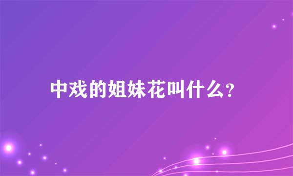 中戏的姐妹花叫什么？