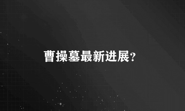 曹操墓最新进展？
