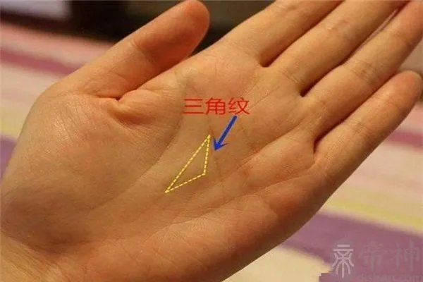 马云手相三角纹放大照