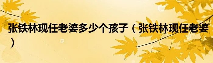 张铁林现任老婆多少个孩子(张铁林现任老婆)