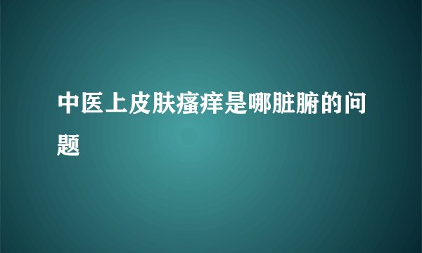中医上皮肤瘙痒是哪脏腑的问题