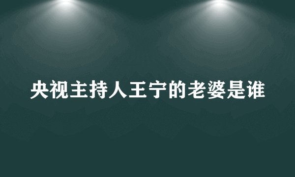 央视主持人王宁的老婆是谁