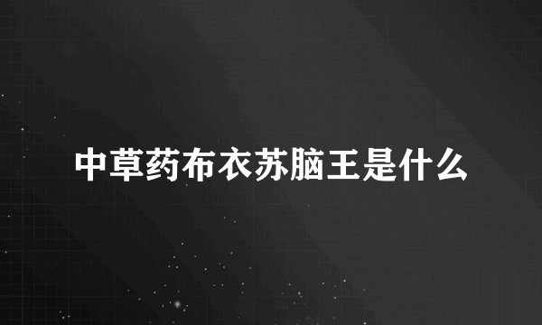 中草药布衣苏脑王是什么