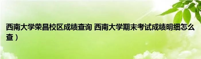 西南大学荣昌校区成绩查询 西南大学期末考试成绩明细怎么查）