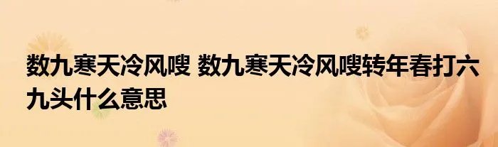 数九寒天冷风嗖 数九寒天冷风嗖转年春打六九头什么意思