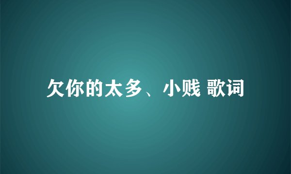 欠你的太多、小贱 歌词