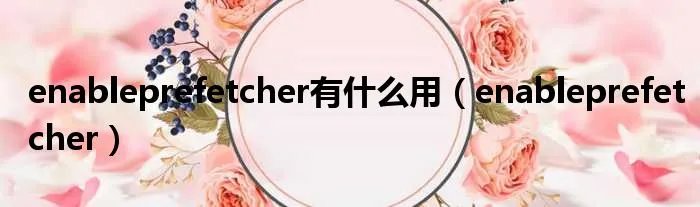enableprefetcher有什么用(enableprefetcher)