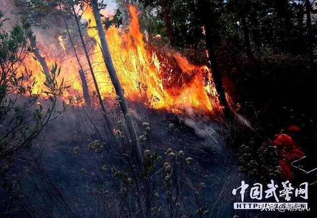 西昌山火为什么会死这么多人？