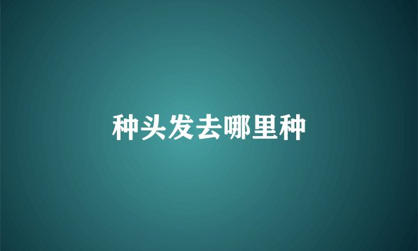 种头发去哪里种