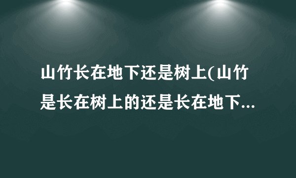 山竹长在地下还是树上(山竹是长在树上的还是长在地下的)-飞外
