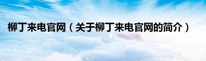 柳丁来电官网（关于柳丁来电官网的简介）