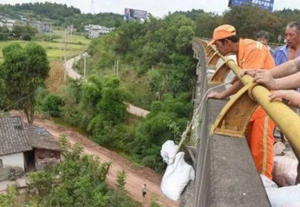 村民顺走工业盐后政府如何作为?