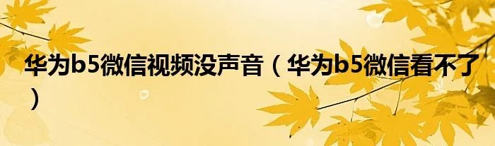 华为b5微信视频没声音(华为b5微信看不了)