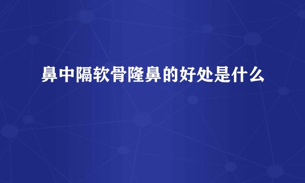 鼻中隔软骨隆鼻的好处是什么