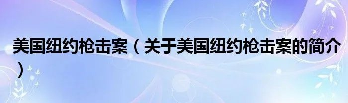 美国纽约枪击案（关于美国纽约枪击案的简介）