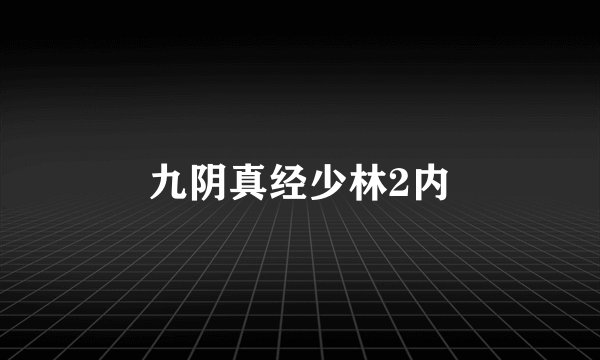 九阴真经少林2内